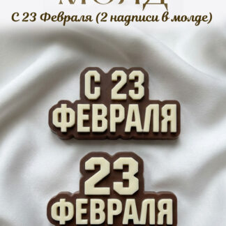 No. 1046 Russian 23 February Lettering - Two Cavities Silicone Mold - image 1